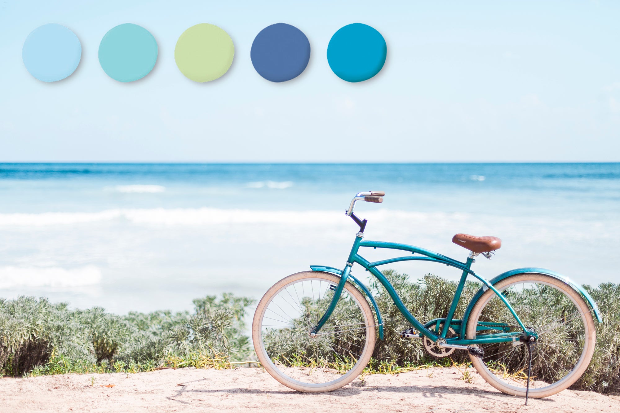 Top Coastal Color Combinations