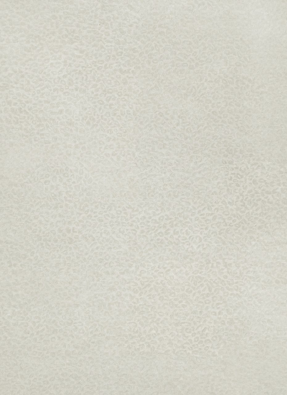 Maine Cottage Leopardess Snow Wool Rug 