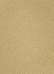 Maine Cottage Leopardess Straw Wool Rug 