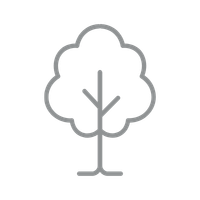 Simple line drawing of a tree on a white background