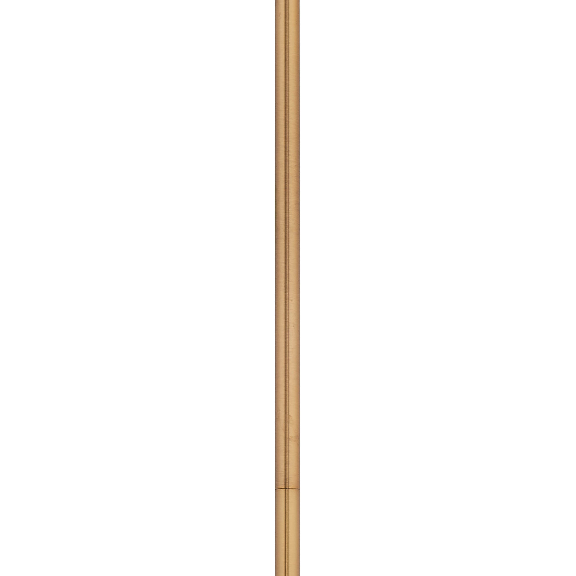 5HOLT-PETA_5.jpg