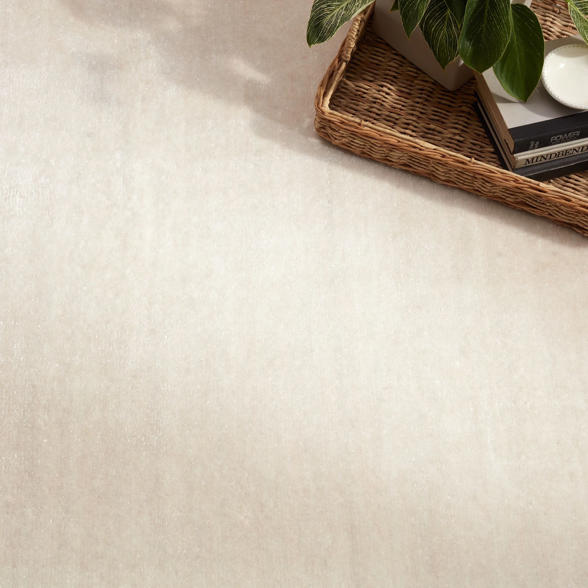 DA2265_Hudson_Plaster_sq_WebHeader.jpg