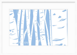 Birches Nikko Blue (Large)