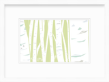Birches Sprout