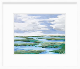 Delphinium Marsh