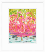 Flamingos