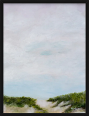 Outer Cape