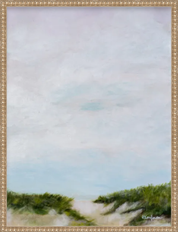 Outer Cape