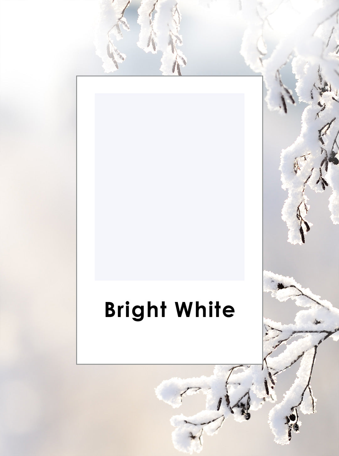 bright-white.jpg
