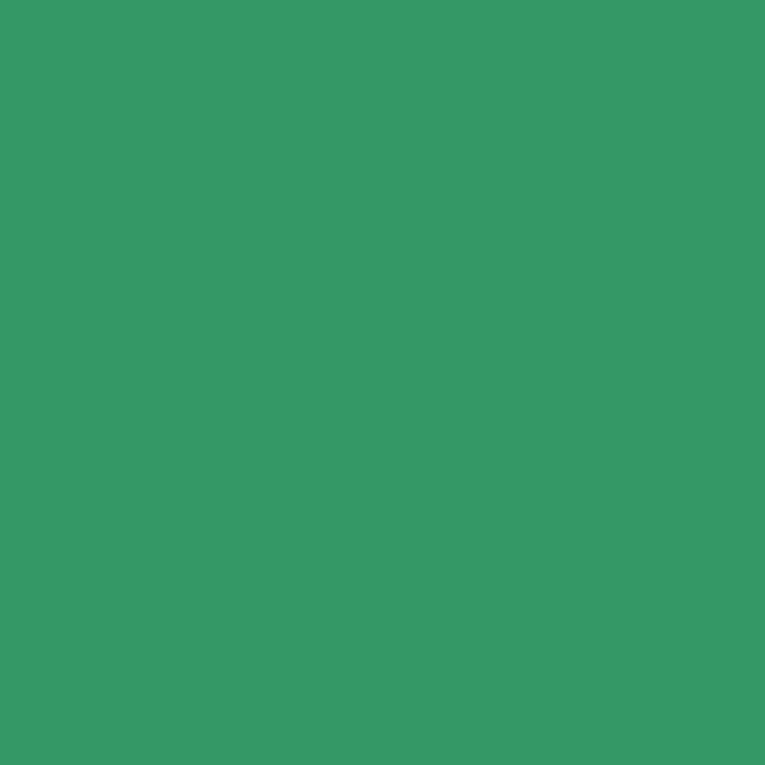 color-block-evergreen.png