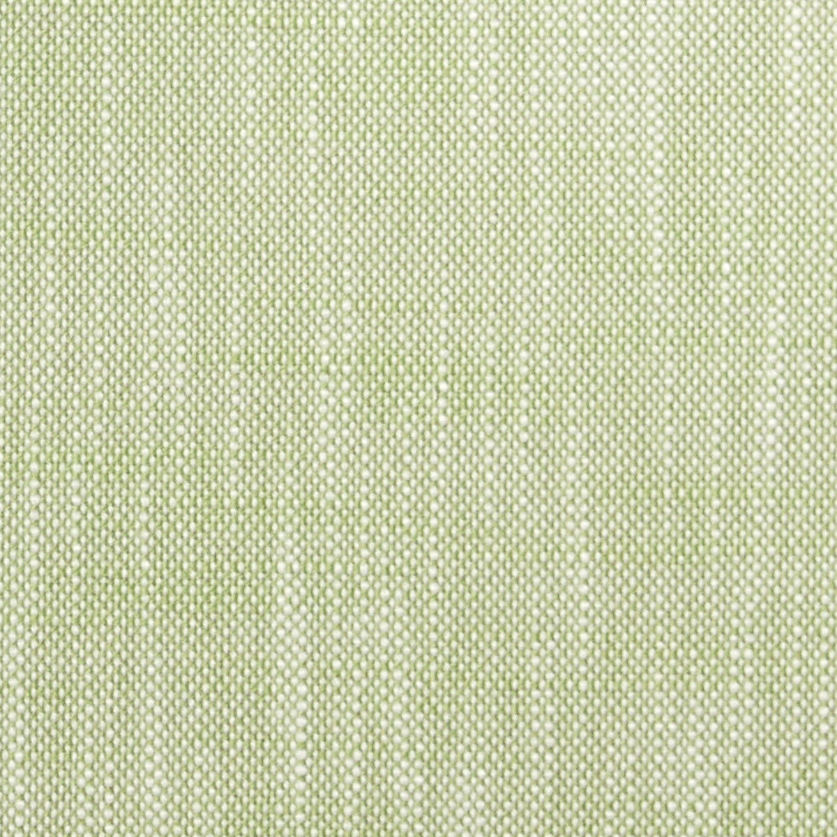 Maine Cottage Shore-Bet: Sprout Fabric By The Yard | Maine Cottage® 