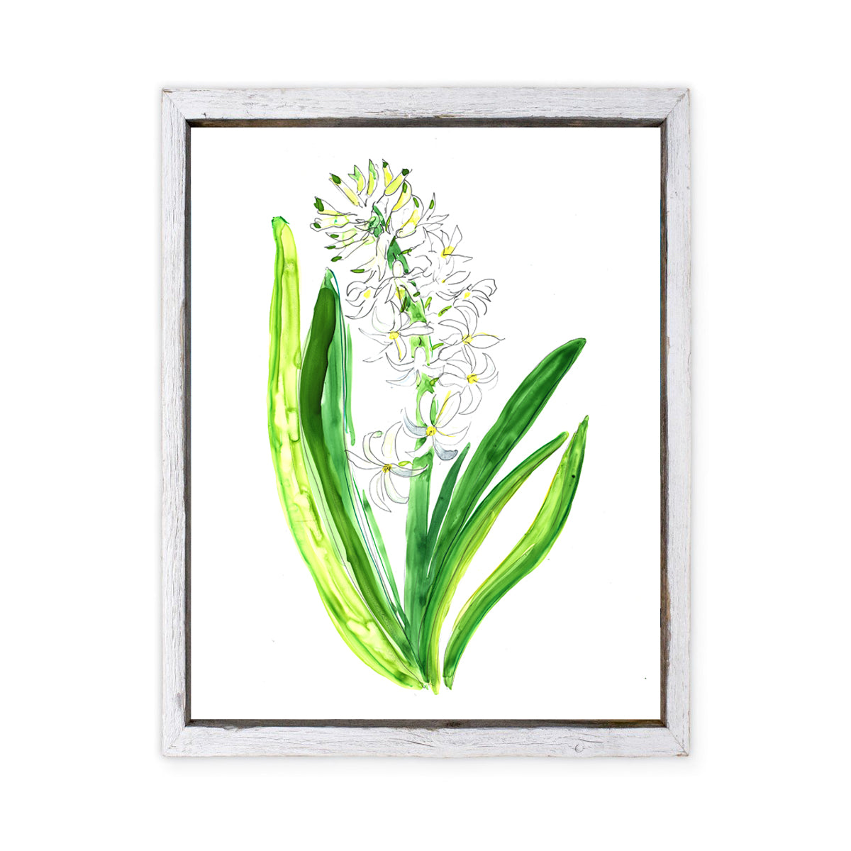 Maine Cottage Hyacinth #1 by Liz Lind for Maine Cottage® 