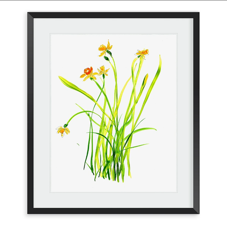 Maine Cottage Daffodil #1 by Liz Lind for Maine Cottage® 