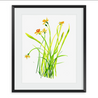 Maine Cottage Daffodil #1 by Liz Lind for Maine Cottage® 