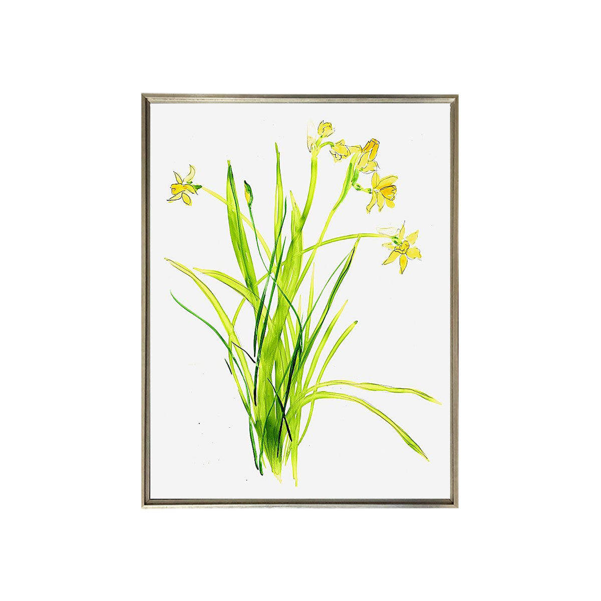 Maine Cottage Daffodil #2 by Liz Lind for Maine Cottage® 