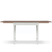 Maine Cottage Lottie Leaf Writing Desk | Maine Cottage® 
